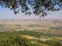 247-4769_IMG.jpg