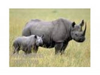 Khama%20Rhino%20Sanctuary%20-%20BD%20-1.jpg