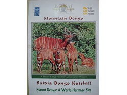 Conservation of the Endangered Mountain Bongo Antelopes in Mt. Kenya-BD-2