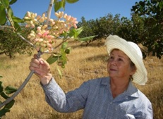 Galina Chernova who is also known in Uzbekistan as Miss Pistachio