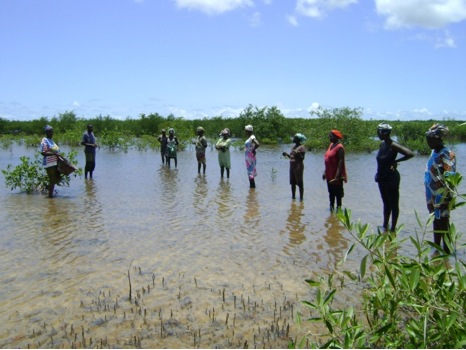 Gambia3