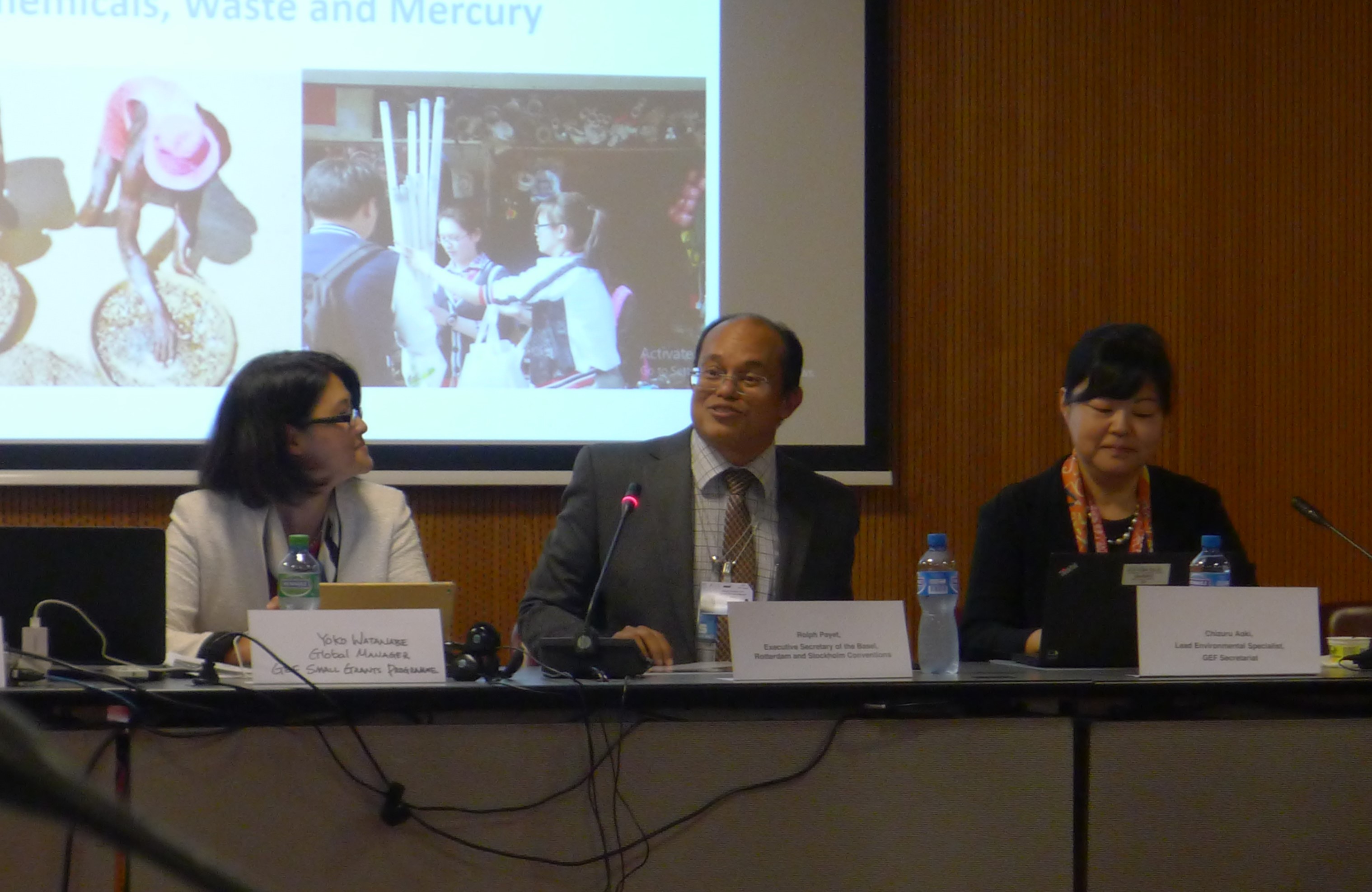 Opening panel Minamata COP  SGP side event