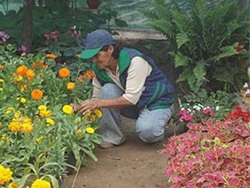 Peru Biodiversity Conservation-1