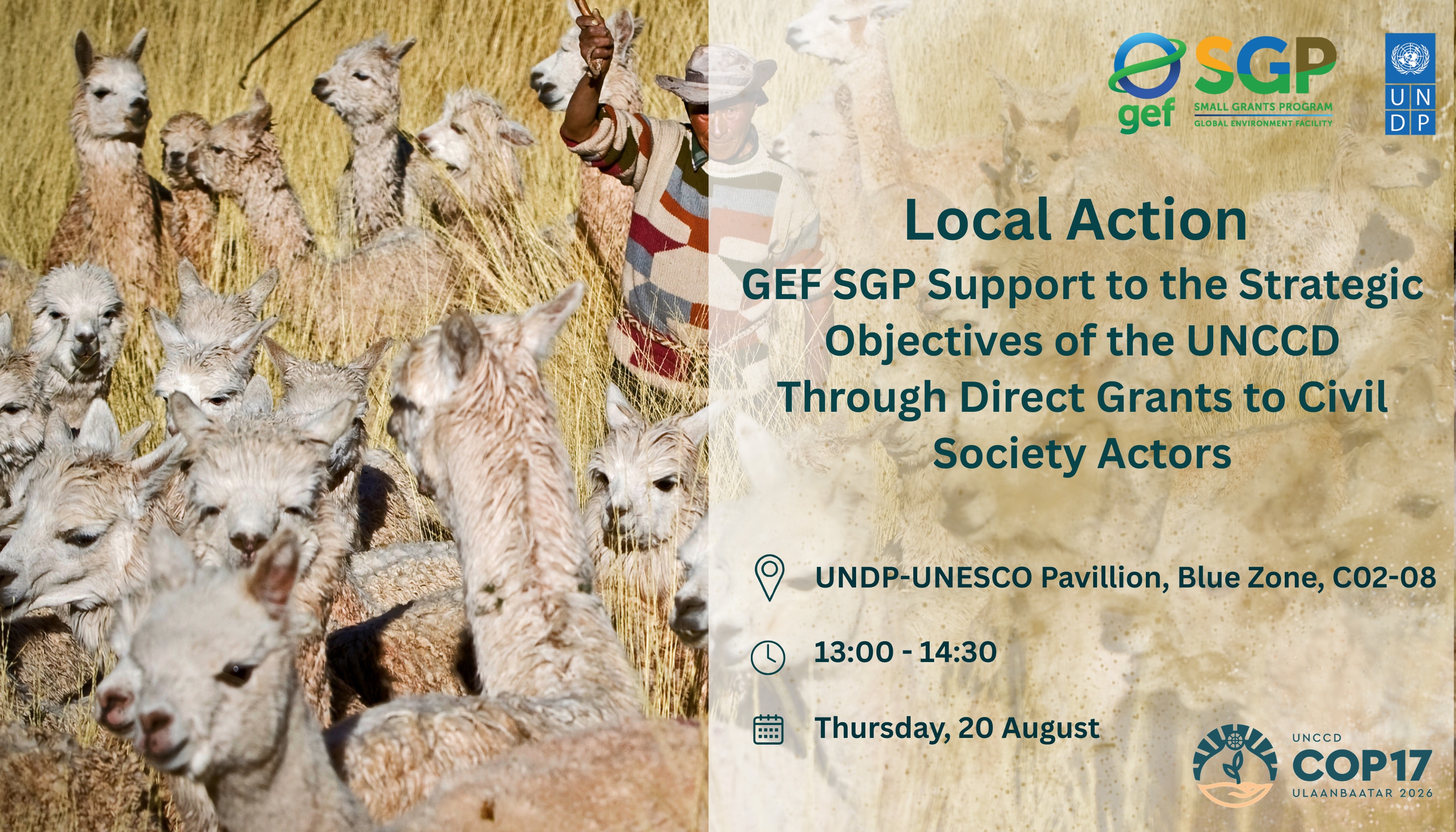 Side Event COP17 UNDP SGP 20Aug