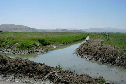 SiranGoli Wetland Rehabilitaion dredging