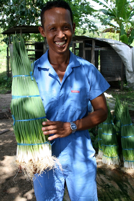 Suriname Organic Farming 1