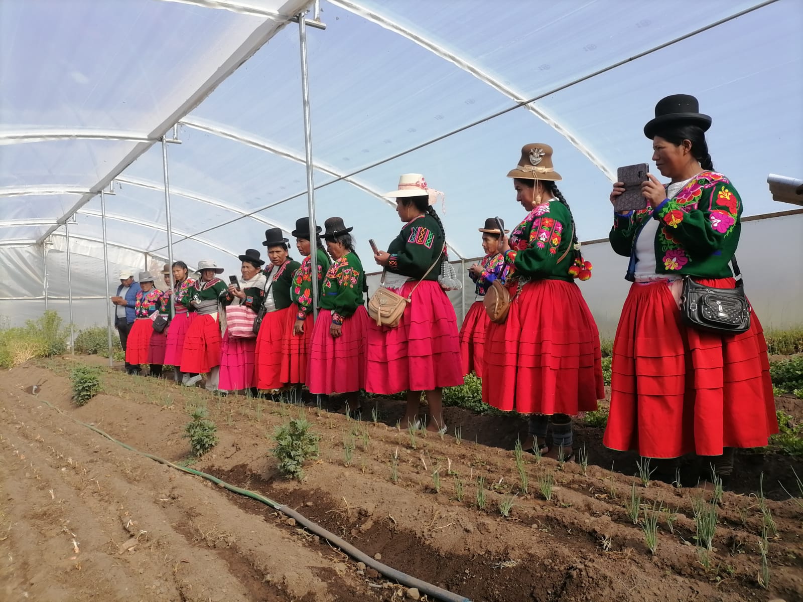 VISITA A EXPERIENCIAS DE MANEJO DE INVERNADEROS DURANTE EL DESARROLLO DEL TALLER GENERO