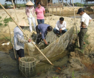 climate change viet nam3