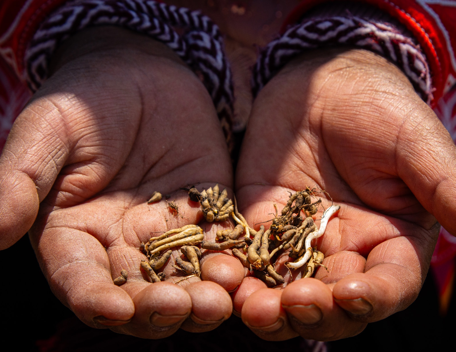 The Nicoya Gulf Seascape, Costa Rica
