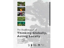 Publication The Reaffirmation of Thinking Globally Acting Locally-1