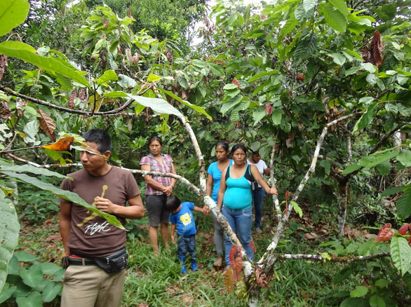 Ecuador Nov2014