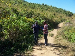 Reforestation of the Soche Mountain Forest Reserve in Malawi BD LD -4