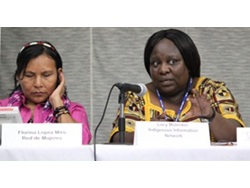 SGP participates in the Capacity development session of the Indigenous and Local Peoples Day at the Ecosystems Pavilion in the CBD COP10-2