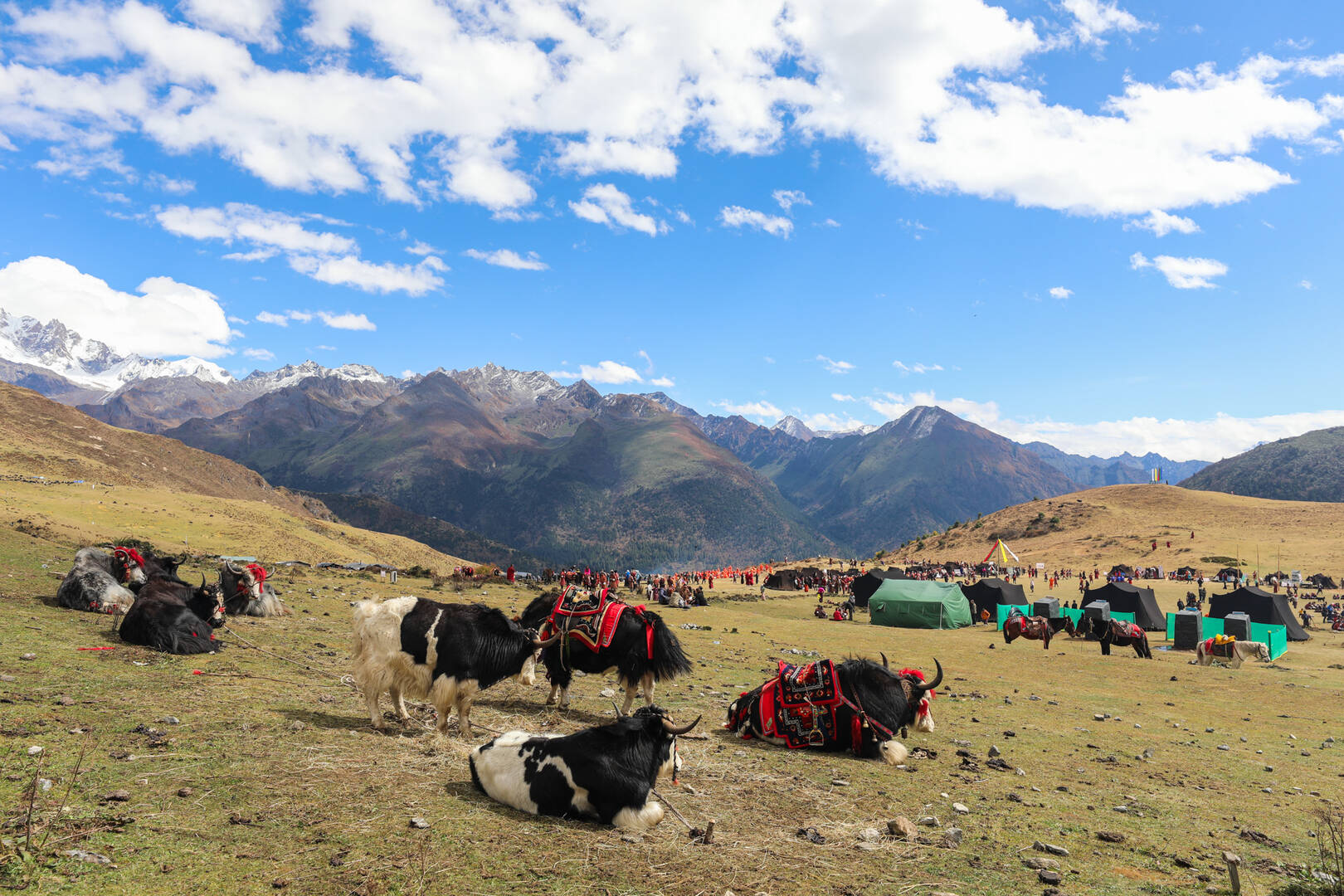 Societies in Harmony with Nature — Building Sustainable and Resilient Communities through the Satoyama Initiative and COMDEKS