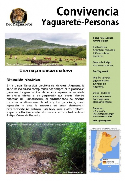 Argentina Saving Jaguar (in Spanish language)