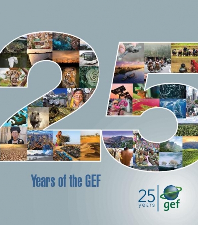 25 Years of the GEF