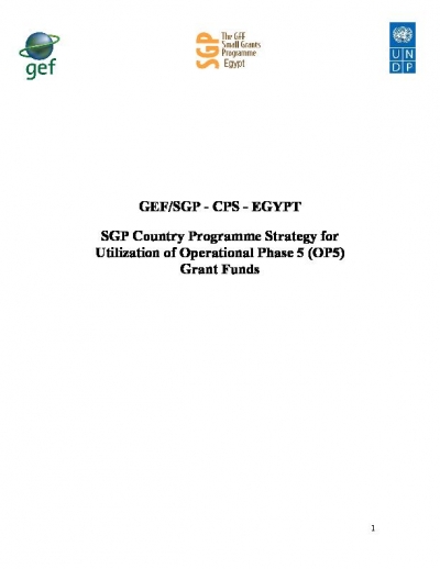 OP5 SGP Country Programme Strategy