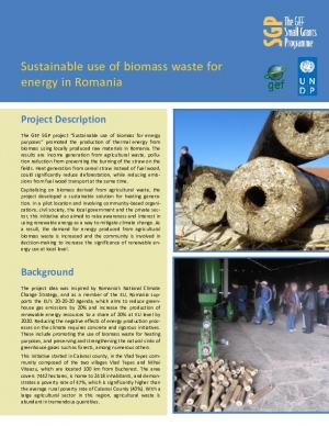 Sustainable Use of Biomass Waste for Energy in Romania