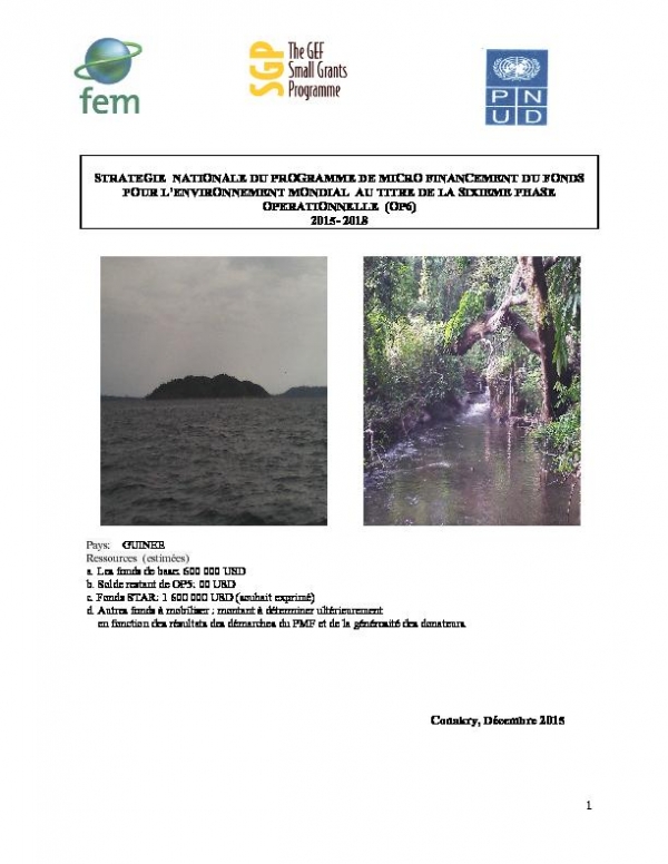 OP6 SGP Guinea Country Programme Strategy