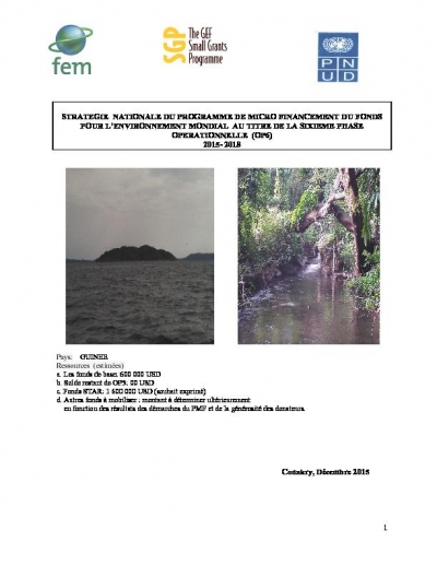 OP6 SGP Guinea Country Programme Strategy