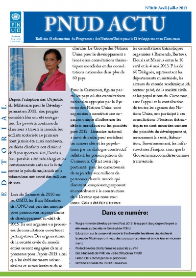 UNDP Cameroon Newsletter Nr. 10 2013