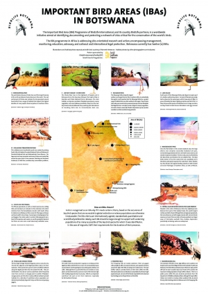 Important Bird Areas (IBAs) in Botswana