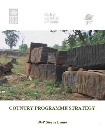 OP5 Country Programme Strategy