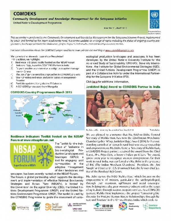 COMDEKS Newsletter Issue 11