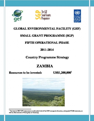OP5 SGP Country Programme Strategy