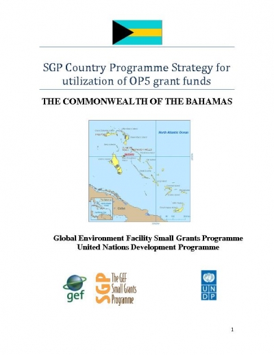 OP5 SGP Country Programme Strategy