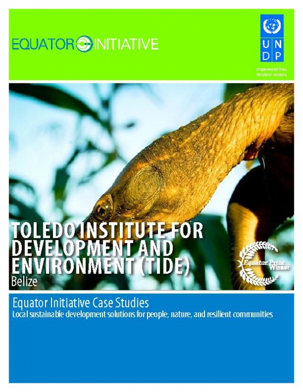 TOLEDO INSTITUTE FOR DEVELOPMENT AND ENVIRONMENT (TIDE)