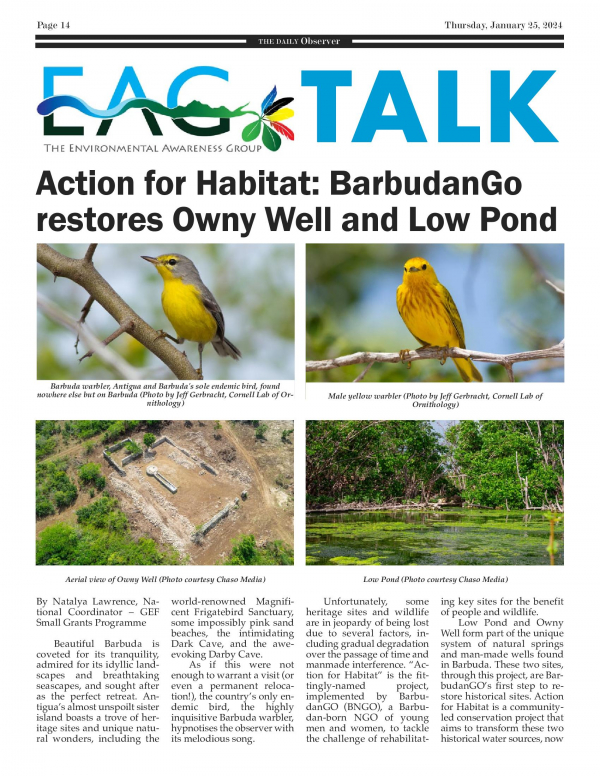 Action for Habitat: BarbudanGo restores Owny Well and Low Pond