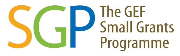 SGP Kenya Proposal Guidelines Template, February 2019