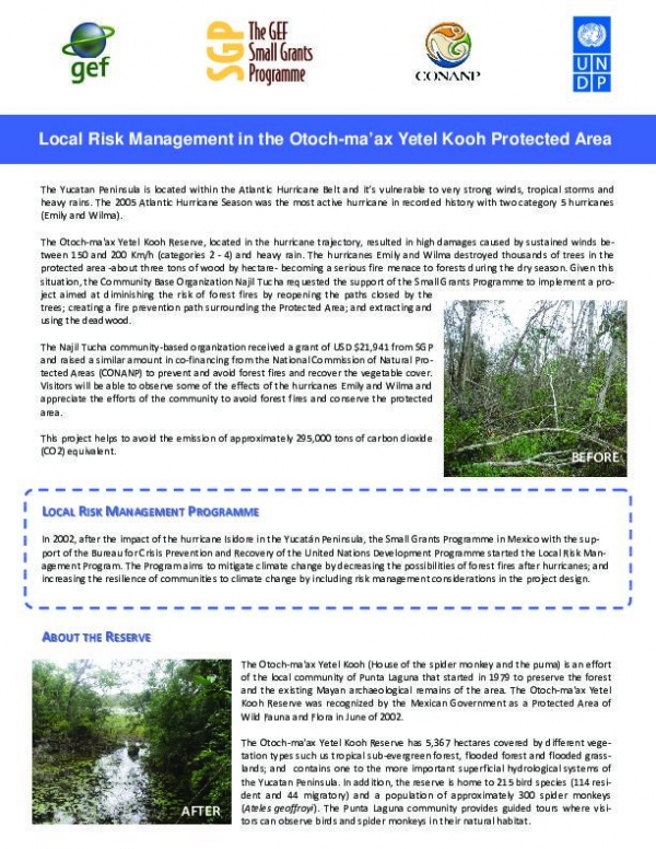 Local Risk Management in the Otoch-ma???ax Yetel Kooh Protected Area