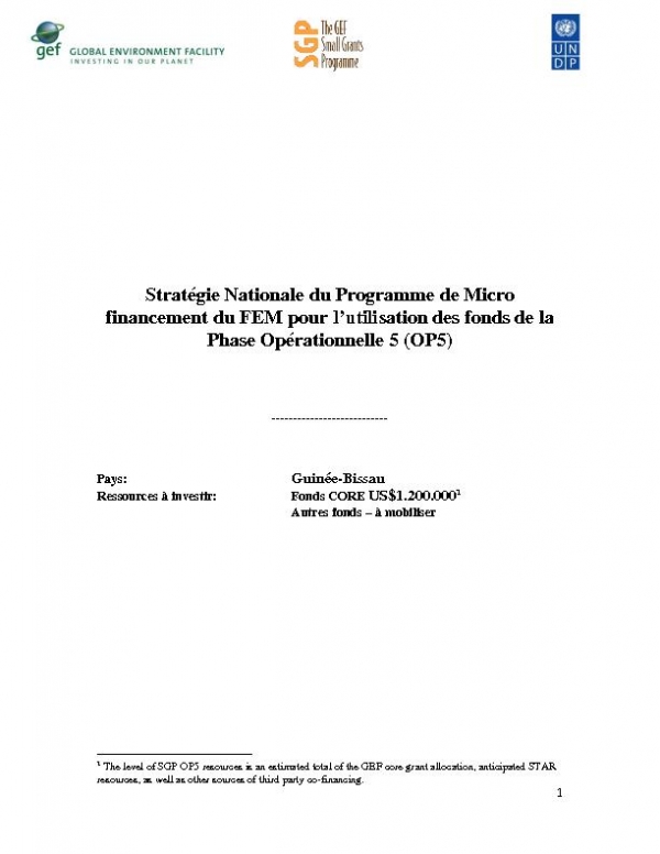 OP5 SGP Country Programme Strategy