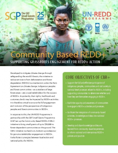 Community Based REDD+