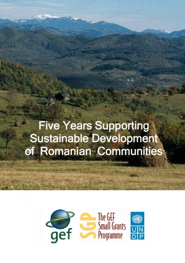 5 Year Brochure