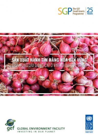 Sustainable Commodity Pink Onion Production on Sand Dunes in Vinh Chau District, Soc Trang province