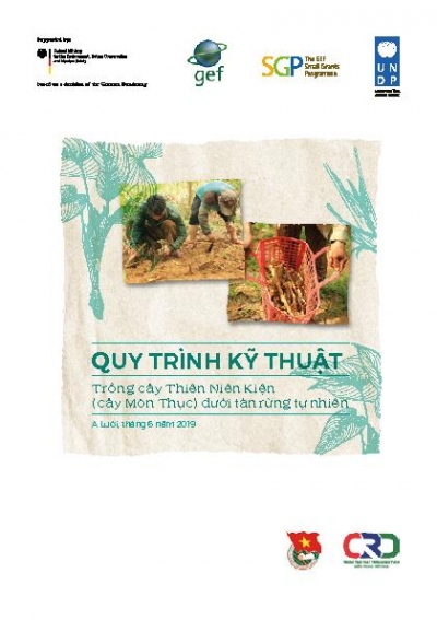 Planting of Thi&ecirc;n Ni&ecirc;n Kiện (Homalomena) Crop Manual  for farmers in A Luoi district