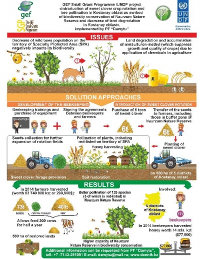 Kazakhstan - Project "Introduction to sweet clover crop and bee pollination in Kostanay" info-graphic