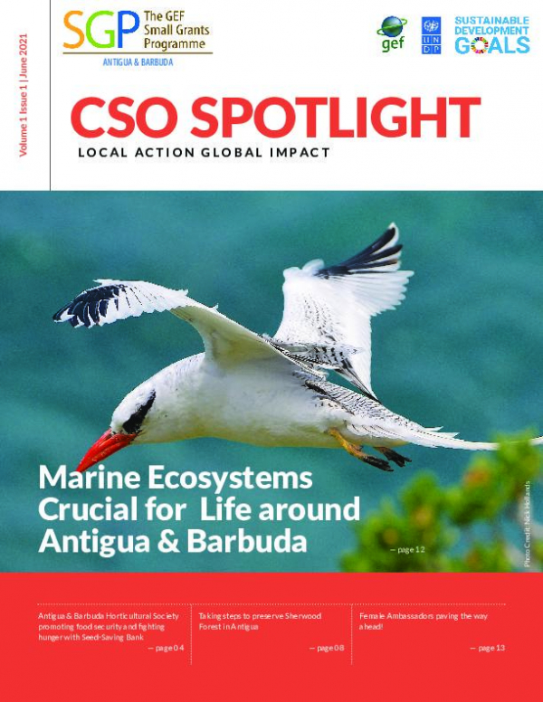 CSO Spotlight, Vol. 1 - June 2021
