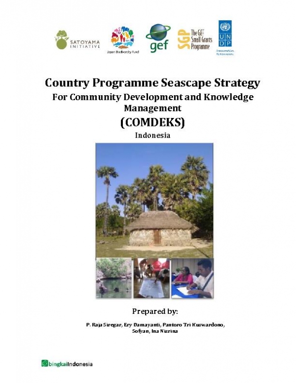 Indonesia COMDEKS country strategy