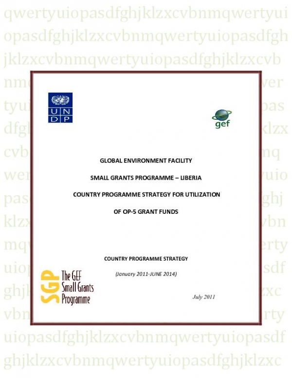 OP5 SGP Country Programme Strategy