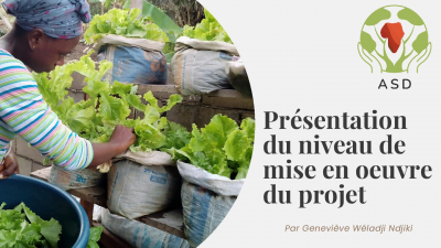 Projet de gestion durable des d&eacute;chets m&eacute;nagers pour une production saine en agriculture urbaine cas de Kribi
