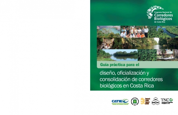 Guia Dise&ntilde;o Oficializacion Consol