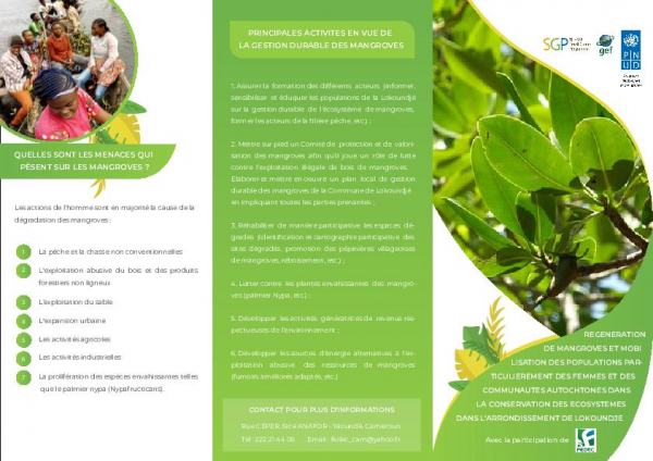REGENERATION DE MANGROVES ET MOBILISATION DES POPULATIONS PARTICULIEREMENT DES FEMMES ET DES COMMUNAUTES AUTOCHTONES DANS LA CONSERVATION DES ECOSYSTEMES DANS L&rsquo;ARRONDISSEMENT DE LOKOUNDJE