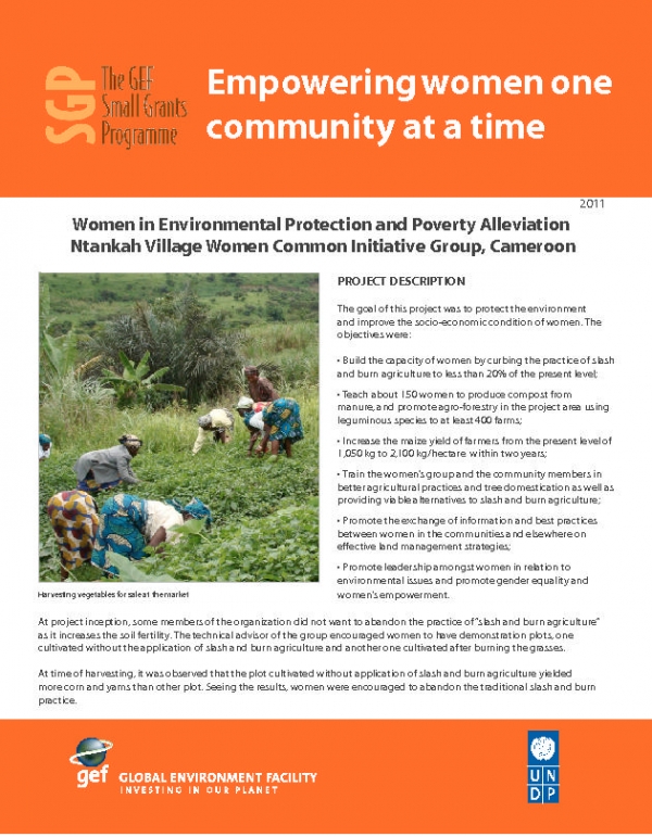 Ntankah Women in Environmental Protection and Poverty Alleviation