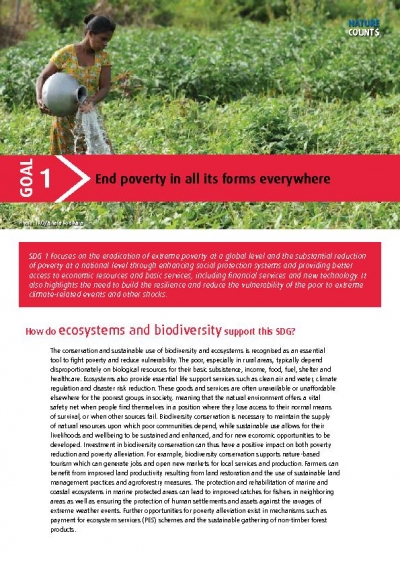 End poverty in all its forms everywhere