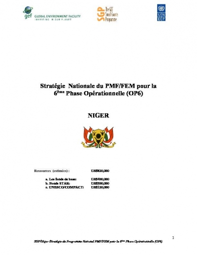 OP6 SGP Niger Country Programme Strategy