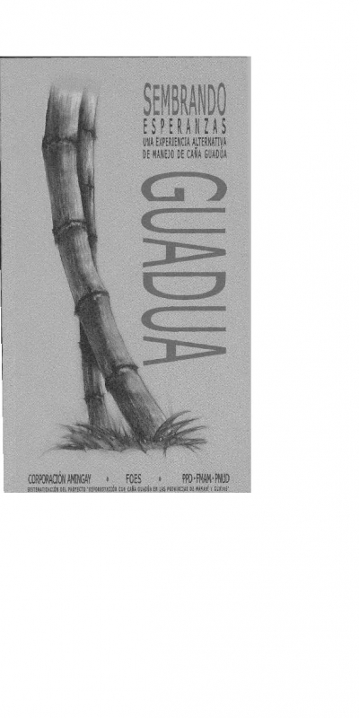 Sembrando esperanzas